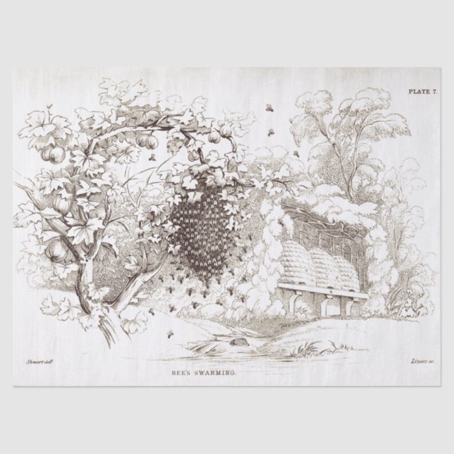 Vintage Bienen Seidenpapier (Vorderseite)