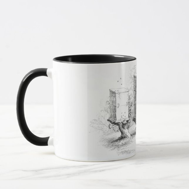 Vintage Bienenboxen Honig Tasse (Links)