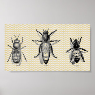 Vintage Bienenkunst Poster