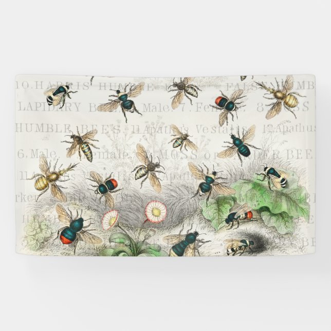Vintage Bienenvolksköniginnen Banner (Horizontal)