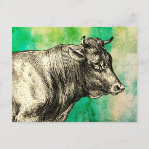 Vintage-Bild von Farmkuh-Bulle  Postkarte