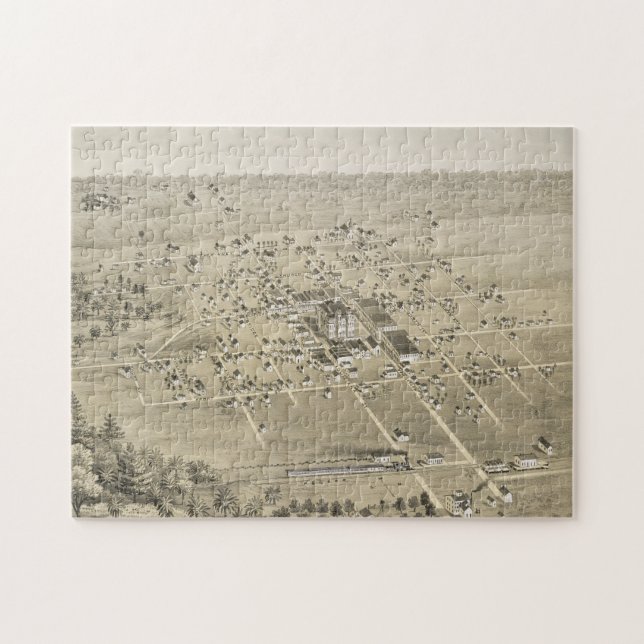 Vintage bildhafte Karte von McKinney Texas (1876) (Horizontal)