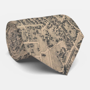 Vintage bildhafte Karte von San Antonio TX (1886) Krawatte