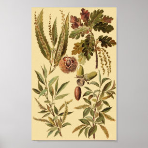 Vintage Bildung Poster