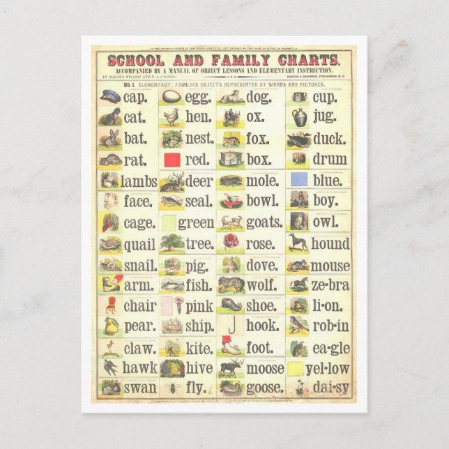 Vintage Bildungstabelle für Sehbegriffe Postkarte (Vorderseite)