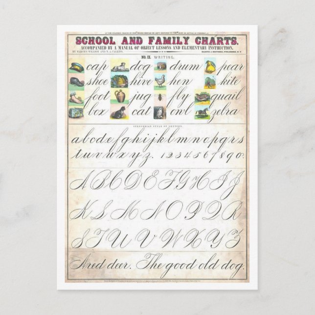 Vintage Bildungstabelle für Sehbegriffe Postkarte (Vorderseite)