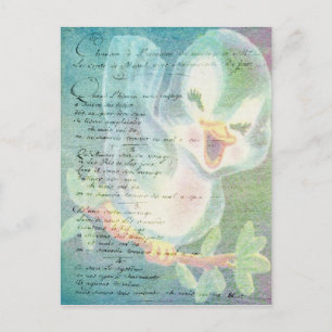 Vintage Bird Digital Art Collage Postkarte