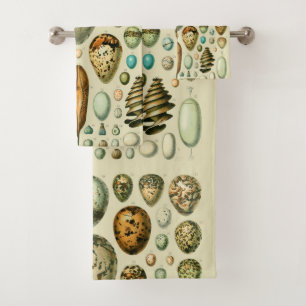 Vintage Bird Eggs French Fish Egg