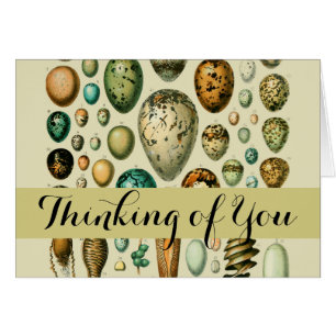 Vintage Bird Eggs French Fish Egg