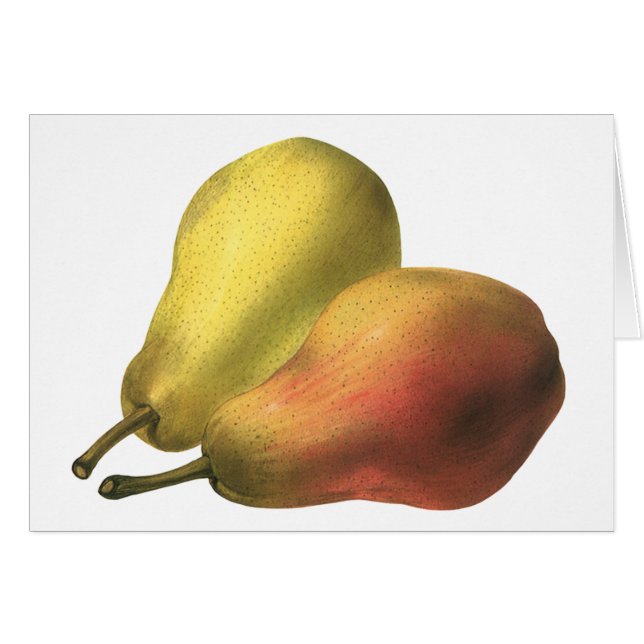 Vintage Birnen, Bio Lebensmittel, reifen Früchte (Vorderseite (Horizontal))