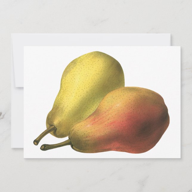 Vintage Birnen, Bio Lebensmittel, reifen Früchte (Vorderseite)