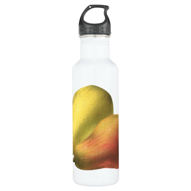 Vintage Birnen, Bio Lebensmittel, reifen Früchte Trinkflasche (Vorderseite)