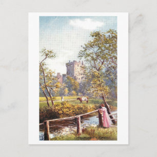 Vintage Blarney Castle, Irland, Postkarte