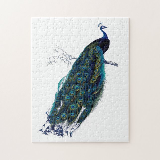 Vintage Blau Eleganter Bunter Pfau (Vertikal)
