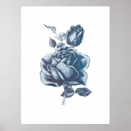 Vintage blaue Rose Zeichnend Poster