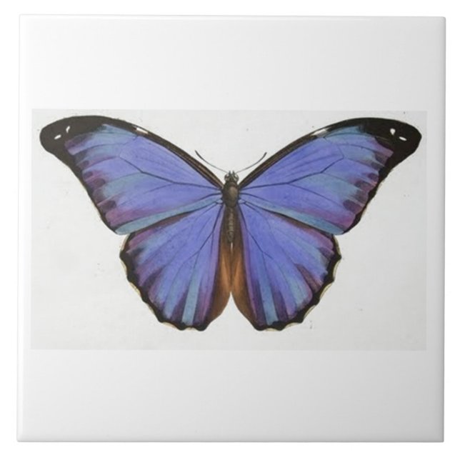 Vintage blaue Schmetterlings-Fliese Fliese (Vorderseite)