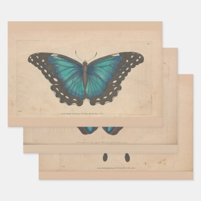 Vintage blaue Schmetterlingsheavy Weight Decoupage Geschenkpapier Set (Set)