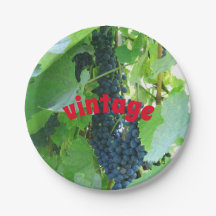 Vintage blaue Trauben