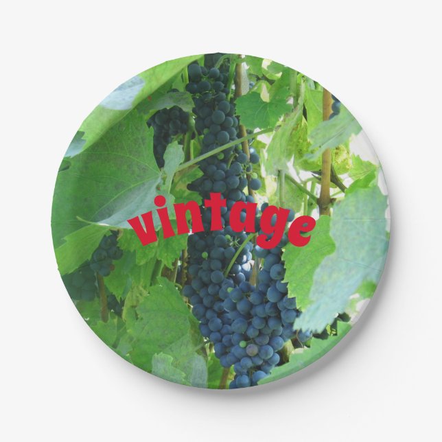 Vintage blaue Trauben Pappteller (Vorderseite)