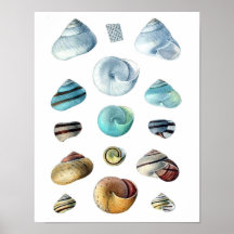 Vintage blaues Muschelposter