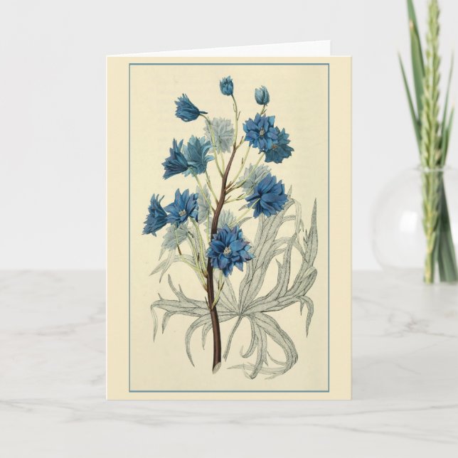 Vintage Blue Larkspur Blume Karte (Vorderseite)