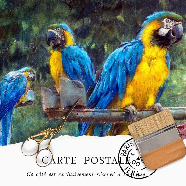 Vintage Blue Yellow Macaws Decoupage Tissue Paper Seidenpapier (Von Creator hochgeladen)