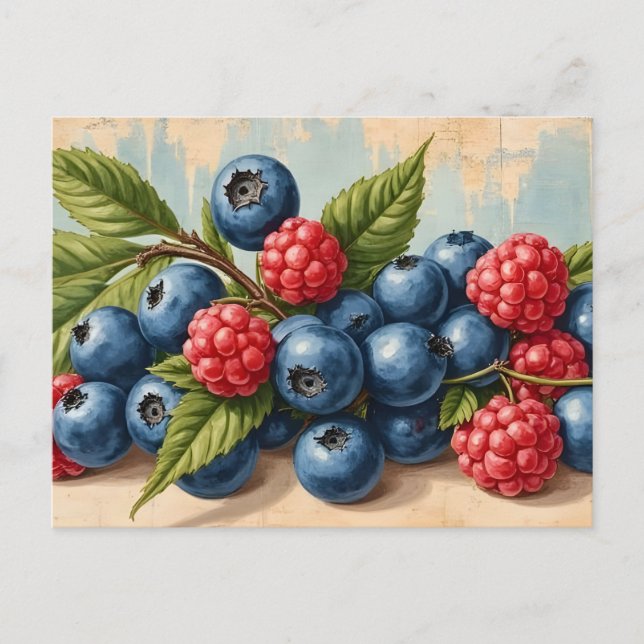 Vintage Blueberries and Raspberries  Postkarte (Vorderseite)