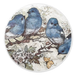 Vintage Bluebird-Illustration niedlicher Vogelarte Keramikknauf