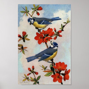 Vintage Bluebirts Rote Blüten Kunst Plakat drucken