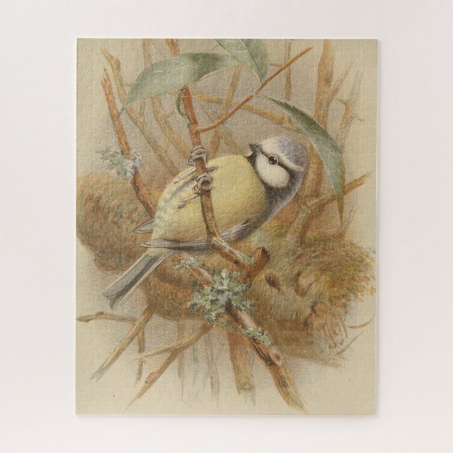 Vintage Bluetit-Illustration (Vertikal)
