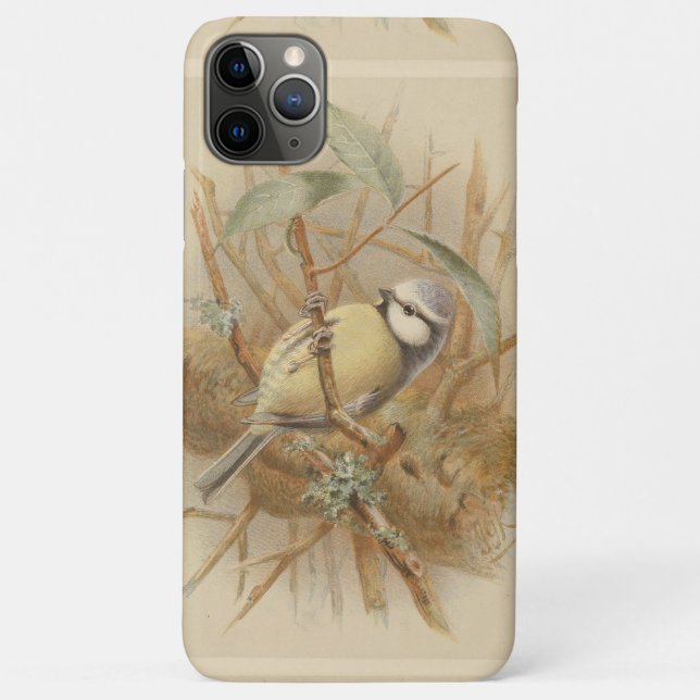 Vintage Bluetit-Illustration Case-Mate iPhone Hülle (Rückseite)