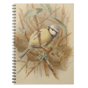 Vintage Bluetit-Illustration Notizblock