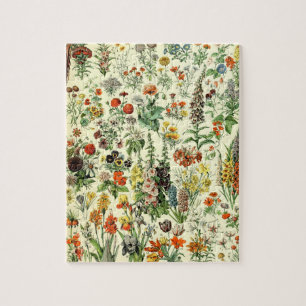 Vintage Blume Alte Illustration Kunst