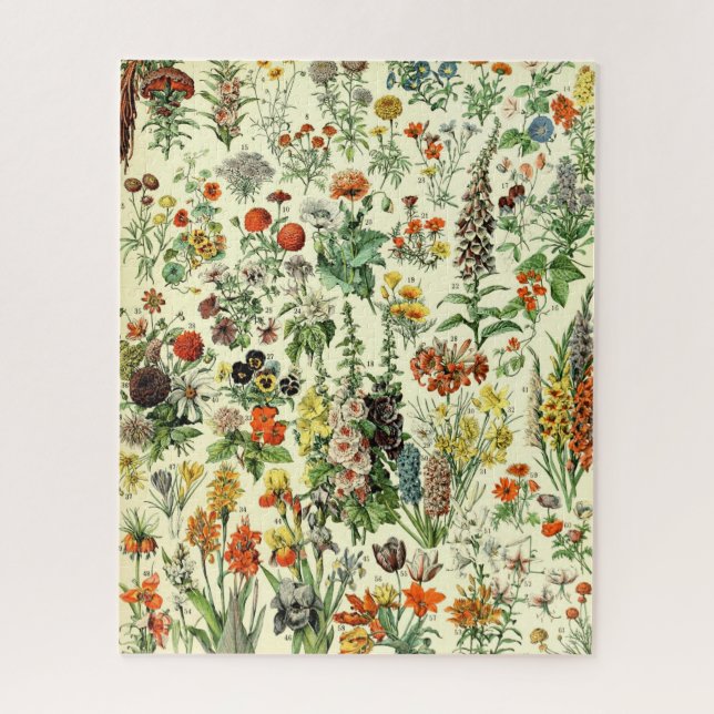 Vintage Blume Alte Illustration Kunst (Vertikal)