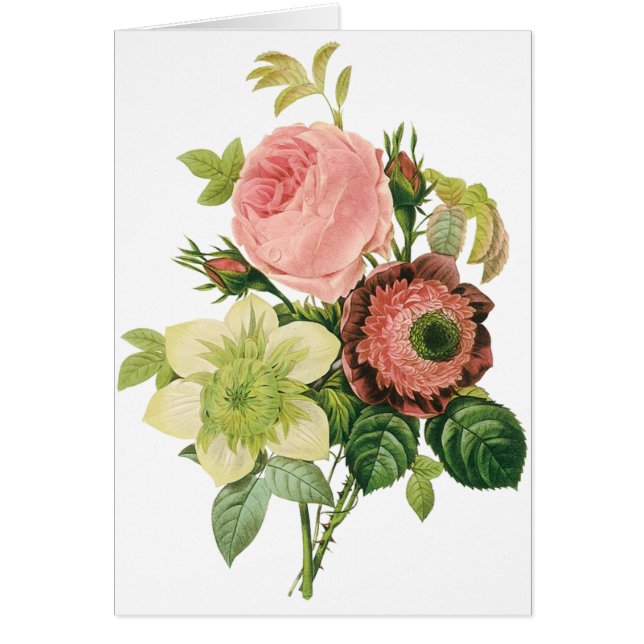 Vintage Blume, Anemone Rose Clematis von Redoute (Vorne)