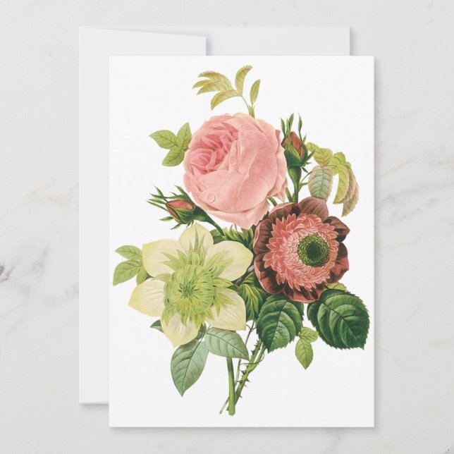 Vintage Blume, Anemone Rose Clematis von Redoute (Vorderseite)