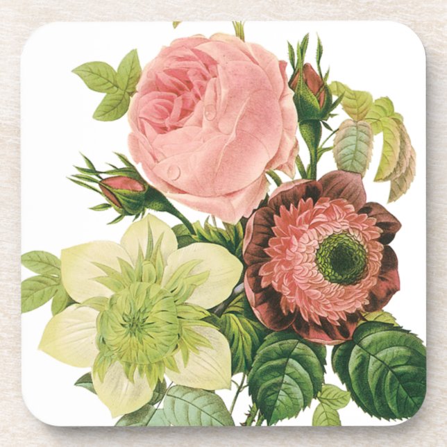Vintage Blume, Anemone Rose Clematis von Redoute Untersetzer (Vorderseite)