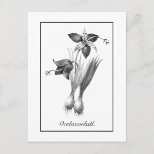 Vintage Blume-Ätzkarte Postkarte