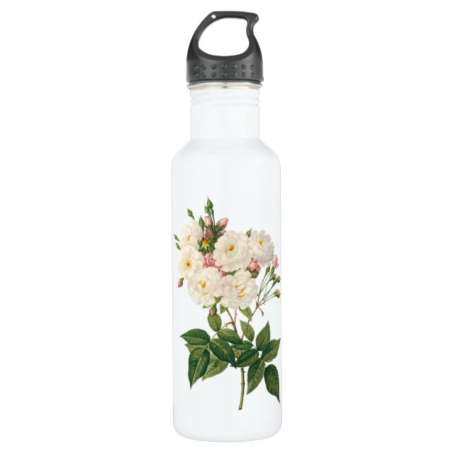 Vintage Blume Blütenrot Noisette Rose Redoute Trinkflasche (Vorderseite)