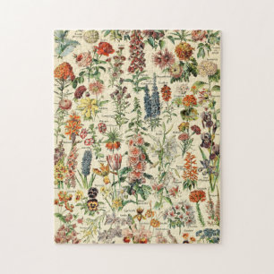 Vintage Blume Botanische Blumendiagramme