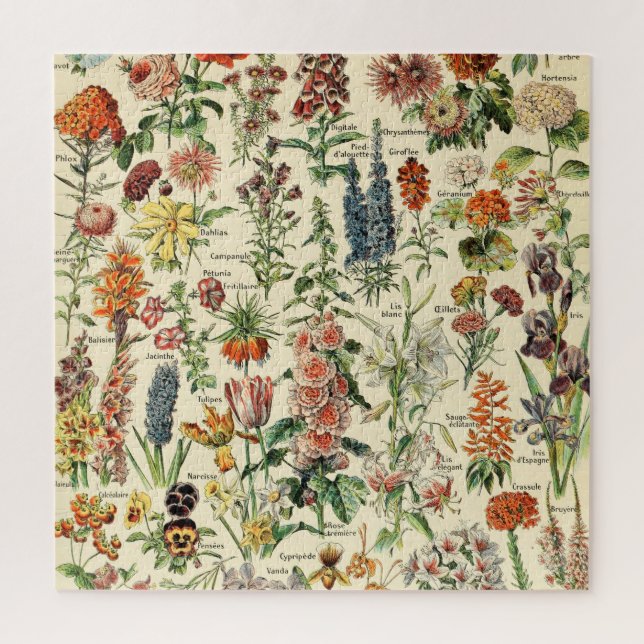 Vintage Blume Botanische Blumendiagramme (Vertikal)