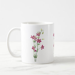 Vintage Blume - Centaurium von Mary Vaux Walcott Kaffeetasse