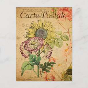 Vintage Blume der Sonnenblumen Französisch Postkarte