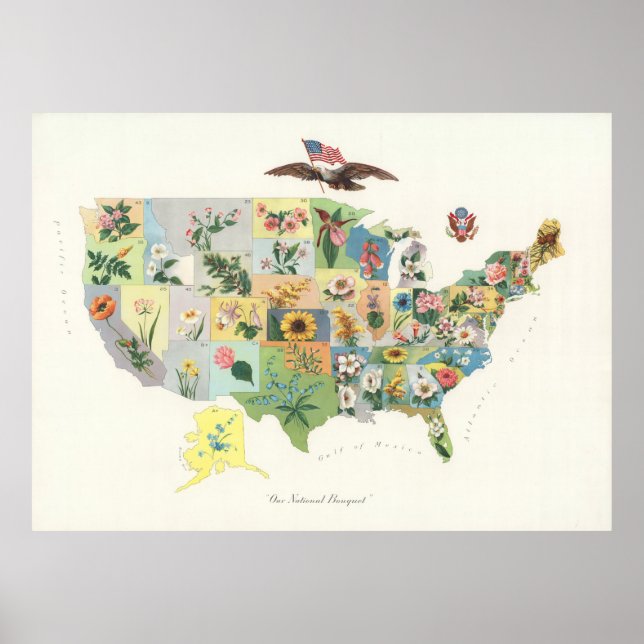 Vintage Blume des US-Staat (1911) Poster (Vorne)