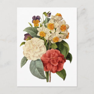 Vintage Blume, Kamelien und Narzissen, Redoute Postkarte