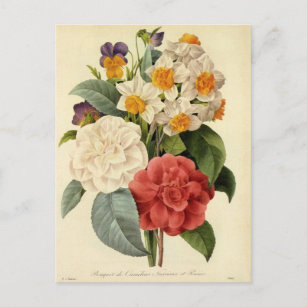 Vintage Blume, Kamelien und Narzissen, Redoute Postkarte