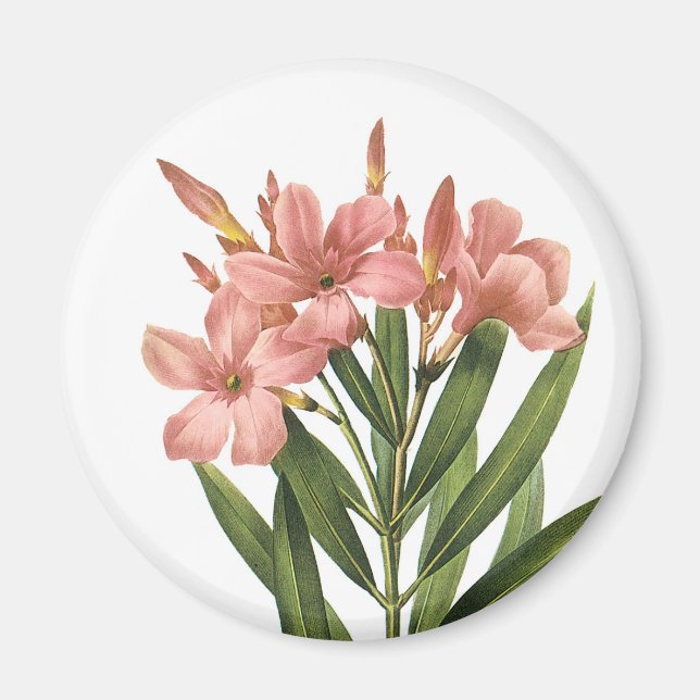 Vintage Blume Magnet 3 (Vorne)