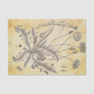Vintage Blume mit Roots Decoupage Seidenpapier