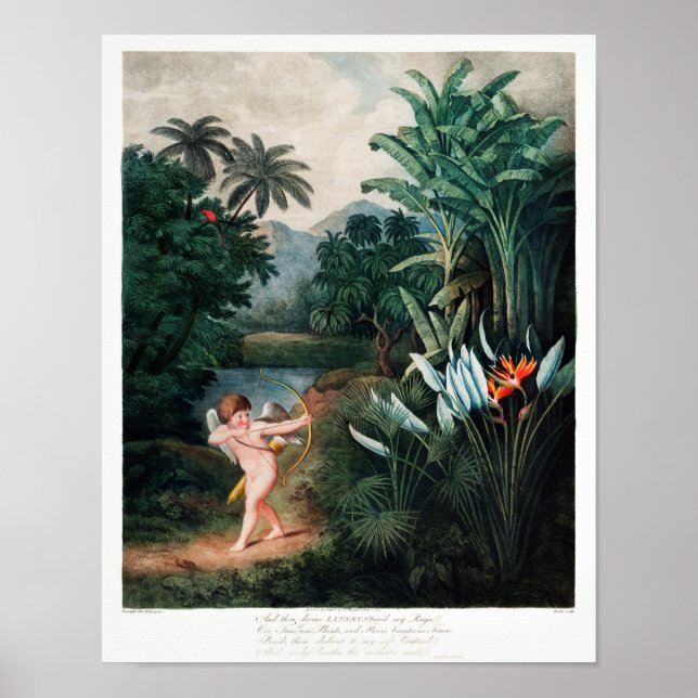 Vintage Blume Poster (Vorne)