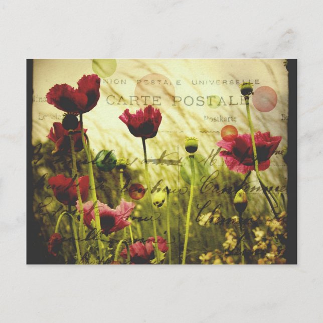 Vintage Blume Postkarte (Vorderseite)